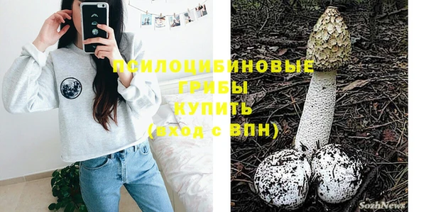 бошки Алзамай