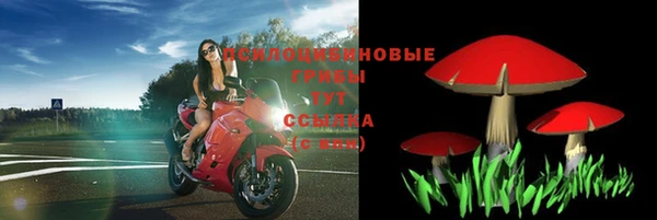 дмт Алексин