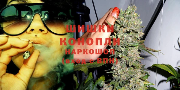 бошки Алзамай