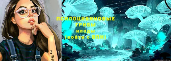 дмт Алексин
