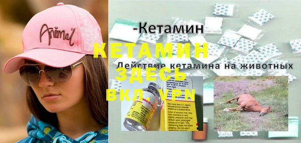 дмт Алексин