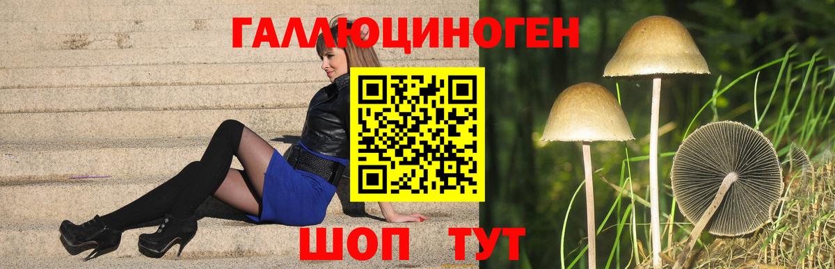 Псилоцибиновые грибы ЛСД  Вход с VPN  Ипатово 
