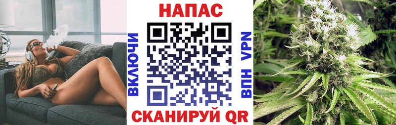 Каннабис гибрид  Ипатово 
